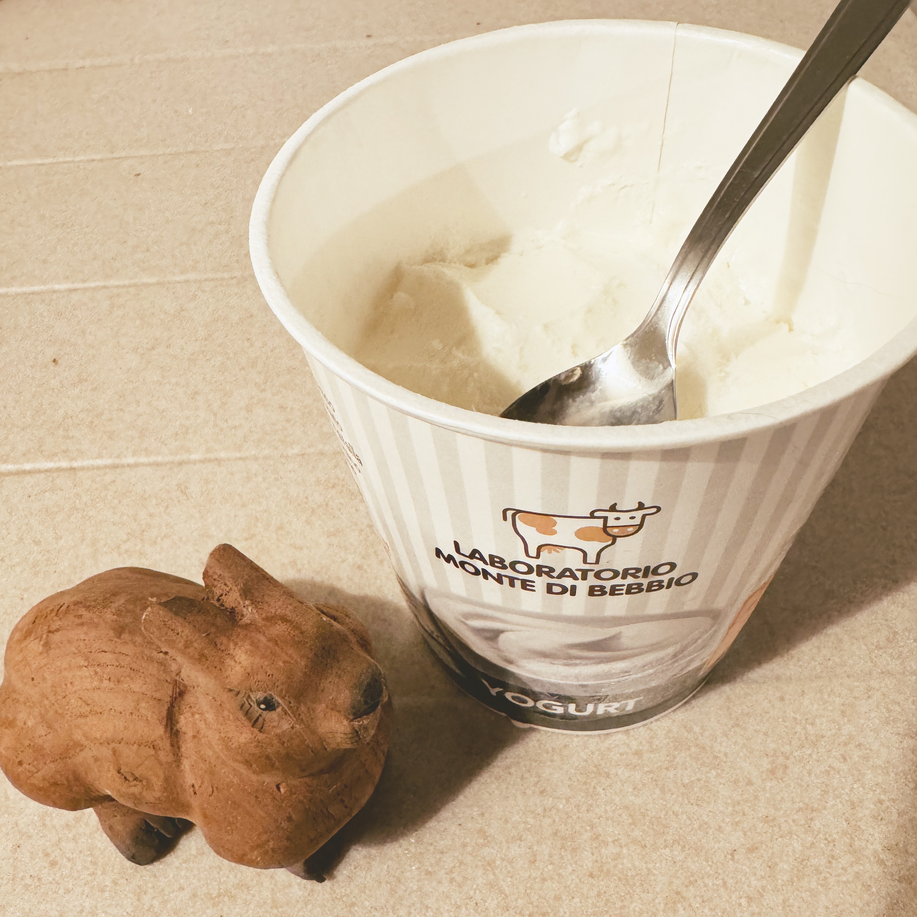 Bruno si è dimenticato di tirare fuori il gelato un po’ prima dunque ora sta leccando una mattonella di ghiaccio al gusto yogurt 🍦