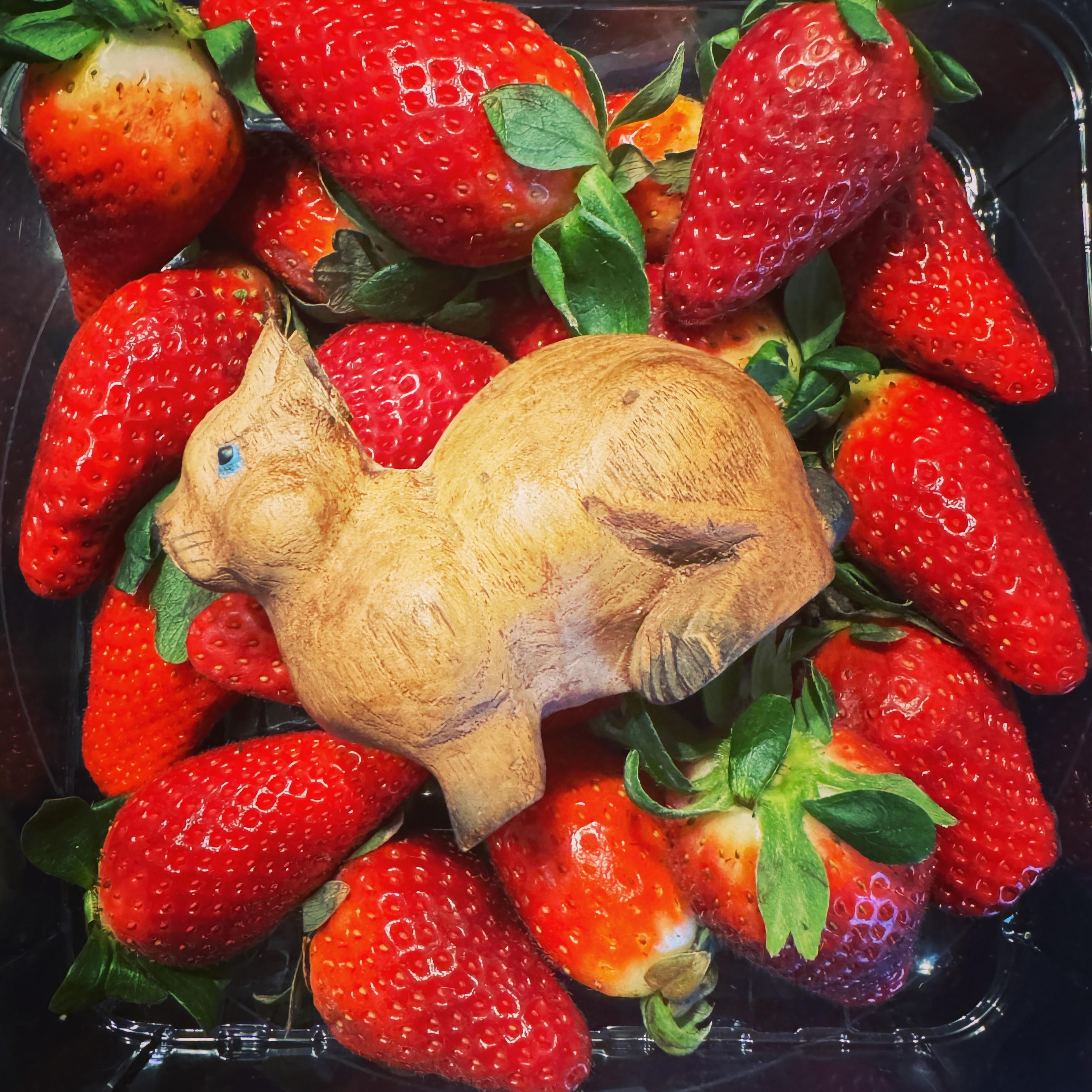 image.jpg