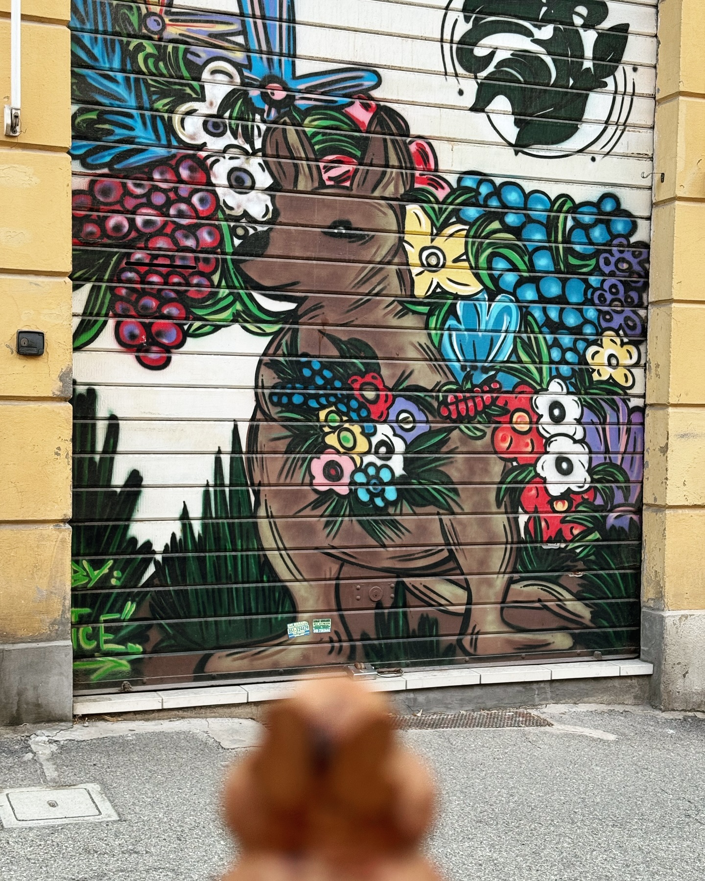 Bruno e le serrande che gli somigliano