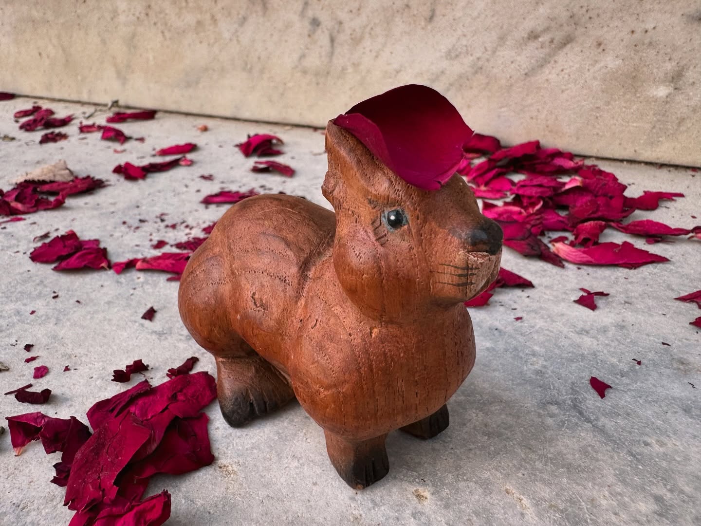 Bruno Petali di Rosa 🌹