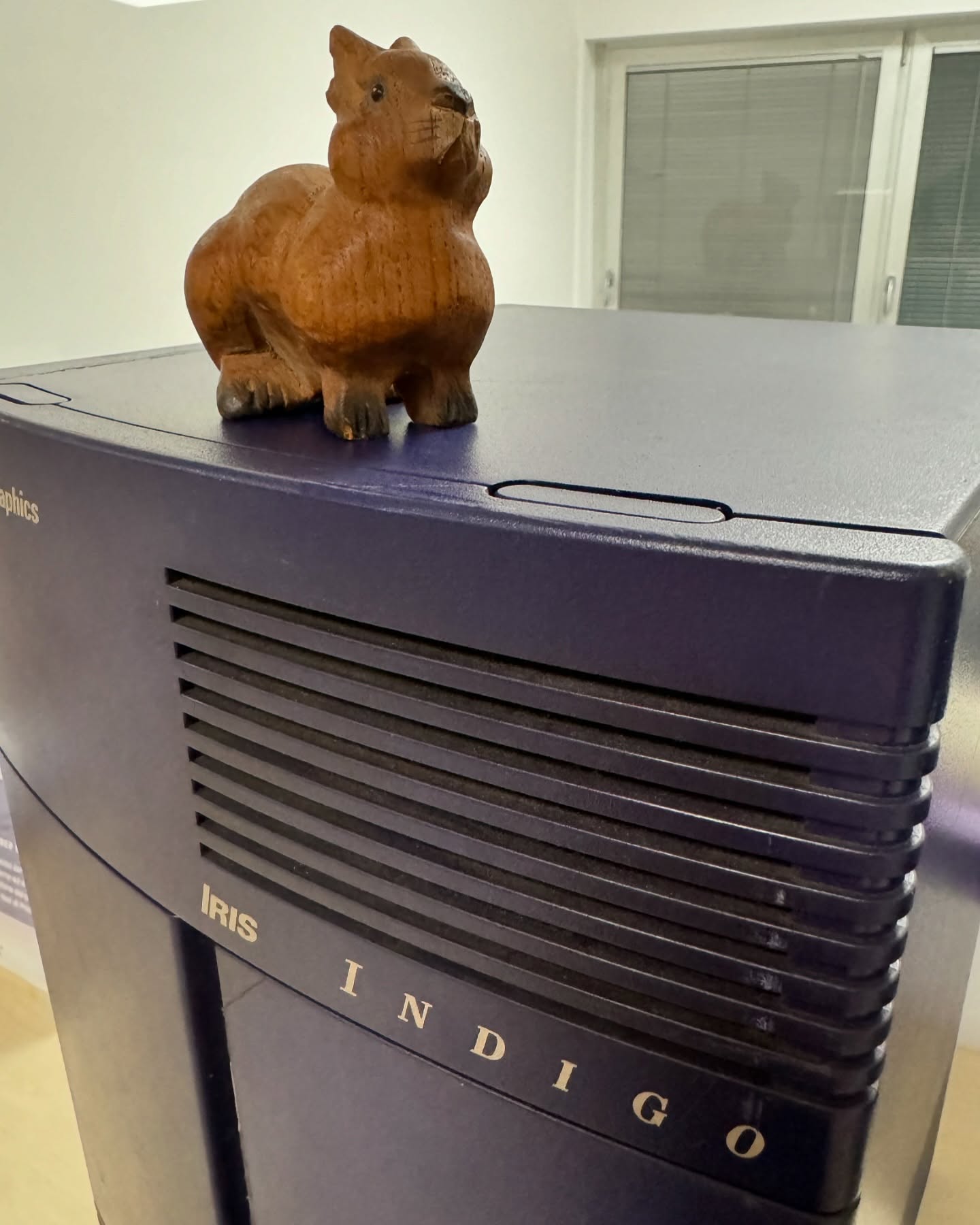 It’s a Unix system! Bruno knows this! 🦖