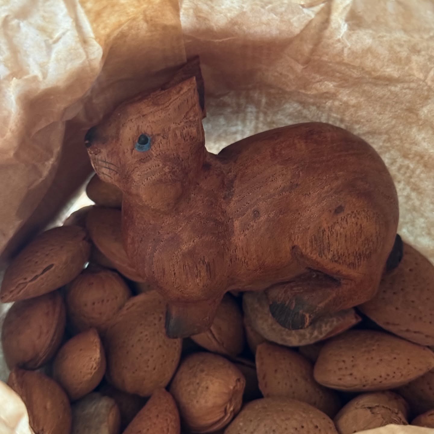 Camouflage Bruno 🌰