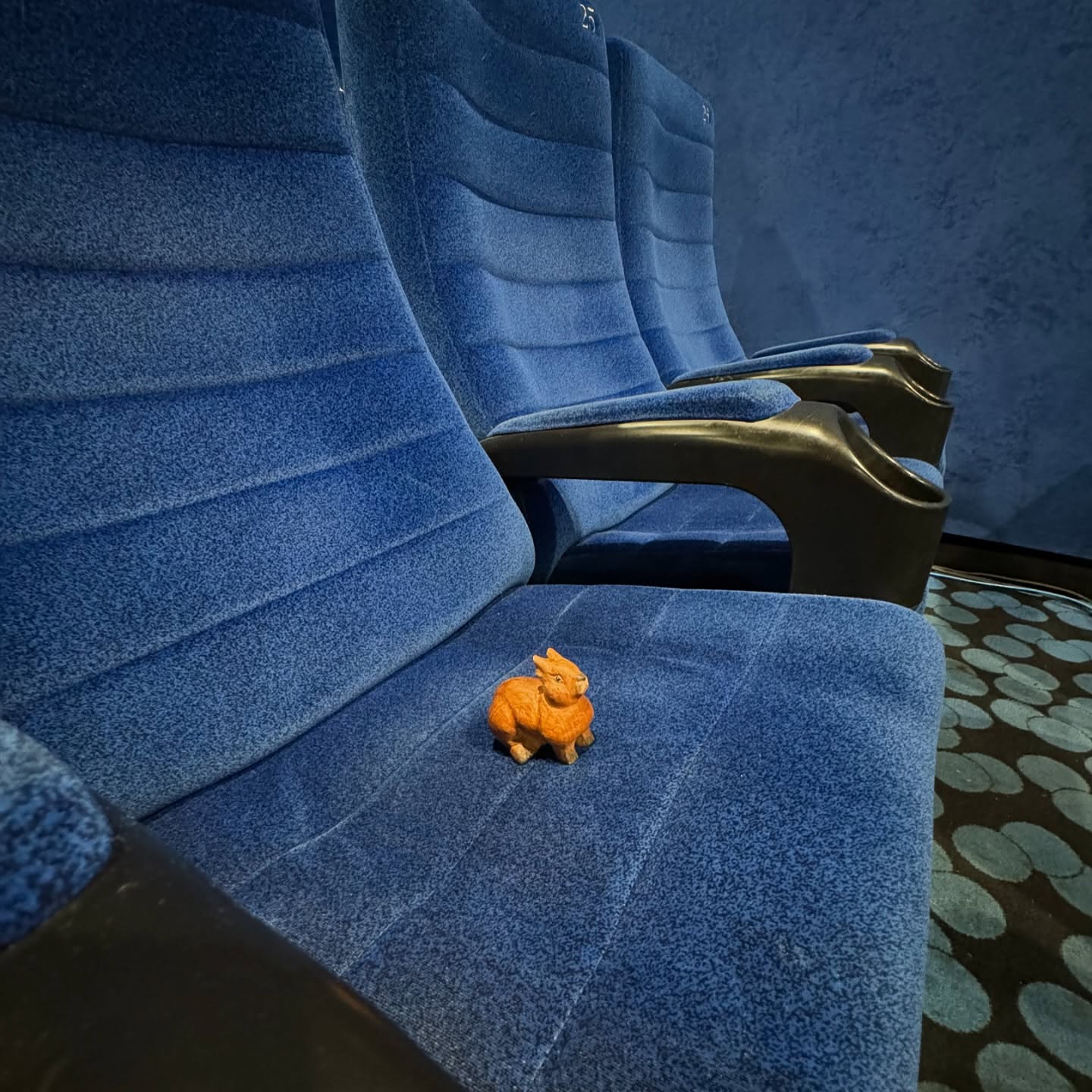 image.jpg