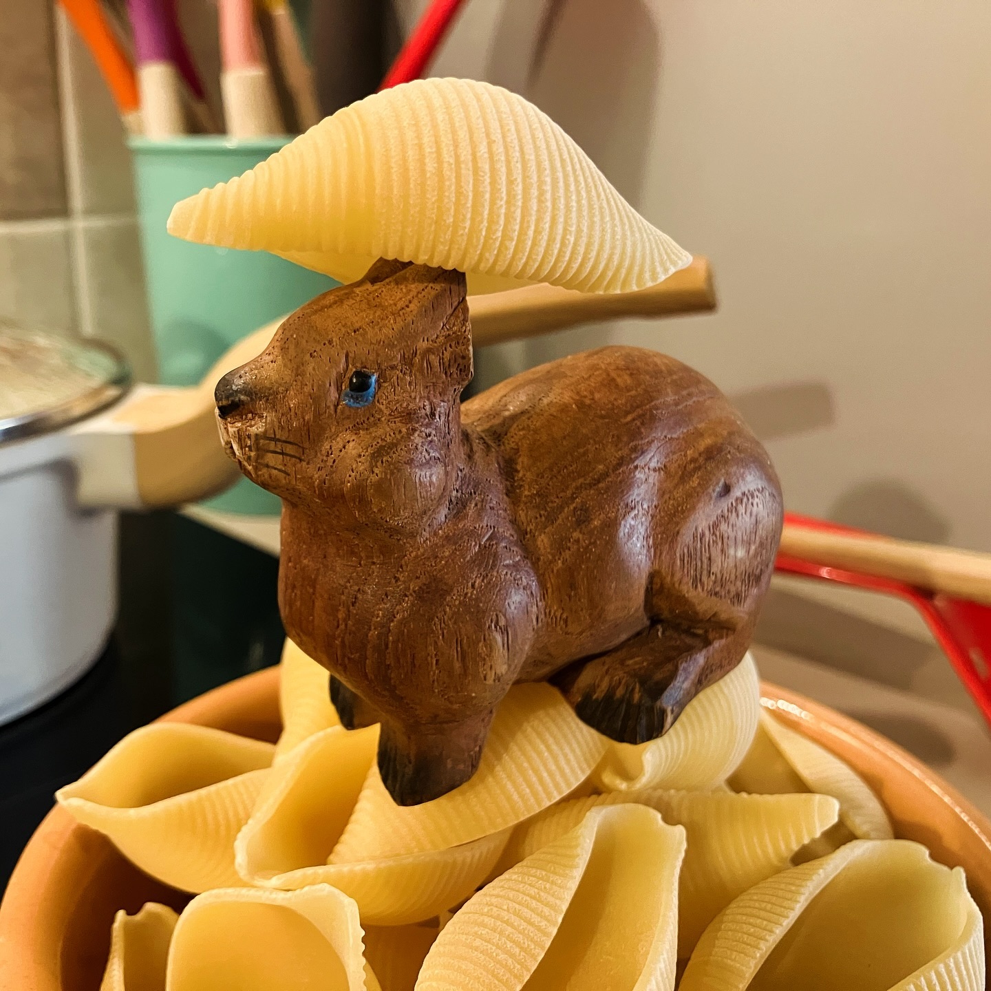 Bruno e dei conchiglioni esageratamente grandi 🍝