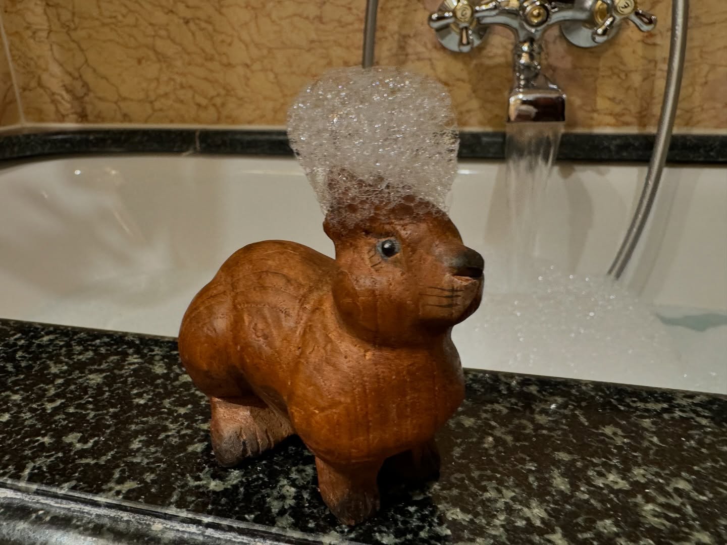 image.jpg