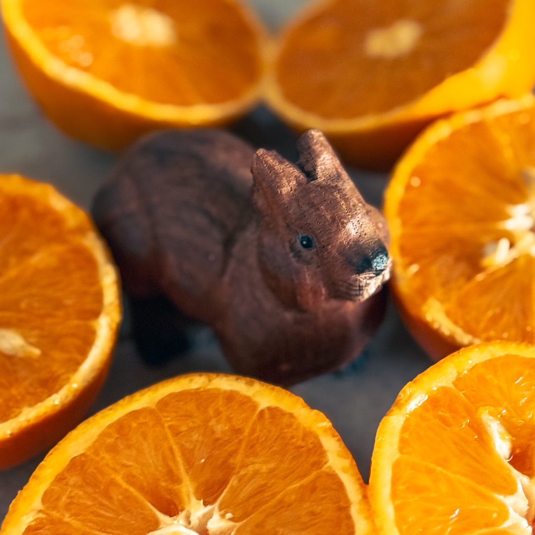 Bruno e le arance rosse che non lo sono mai 🍊