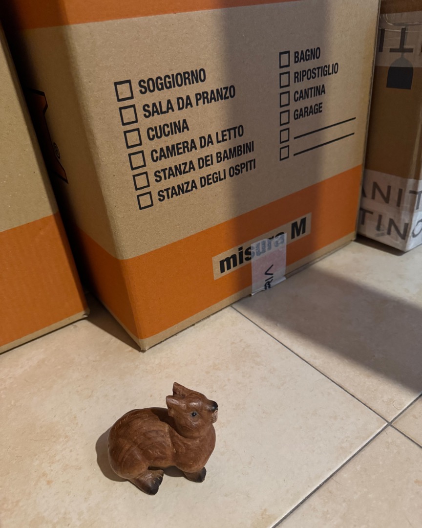 image.jpg