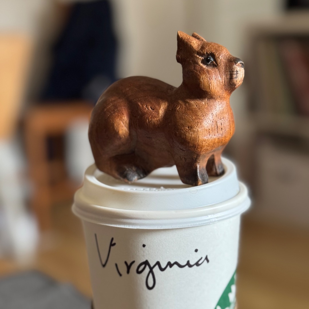 image.jpg