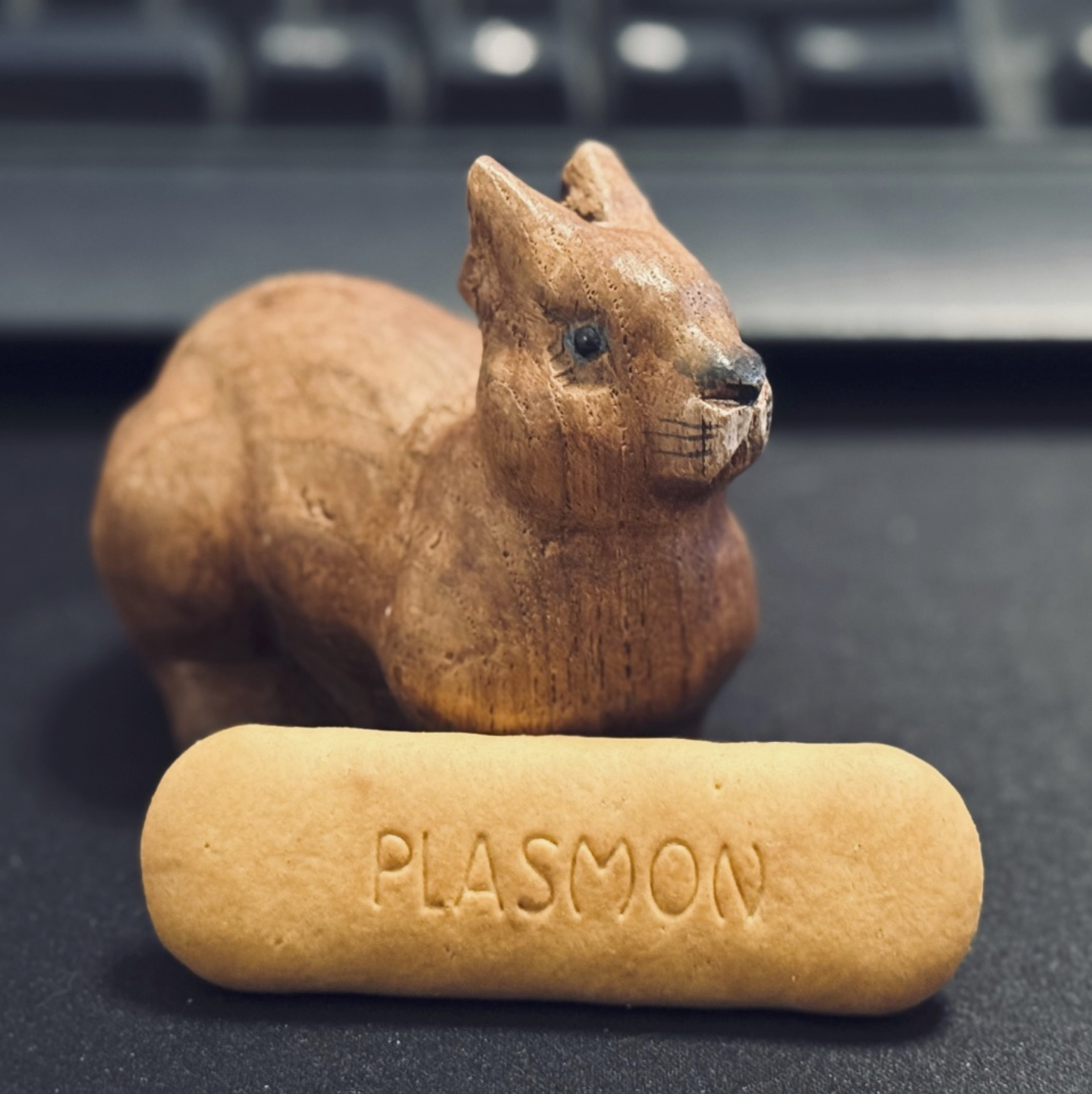 bruno_plasmon.jpg