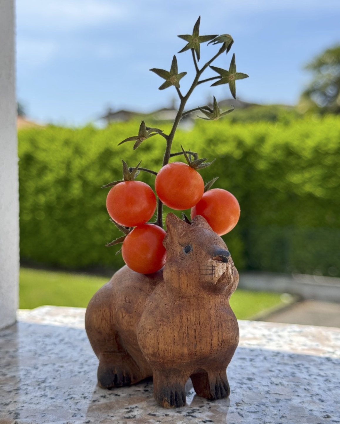 bruno_pomodorini.jpg