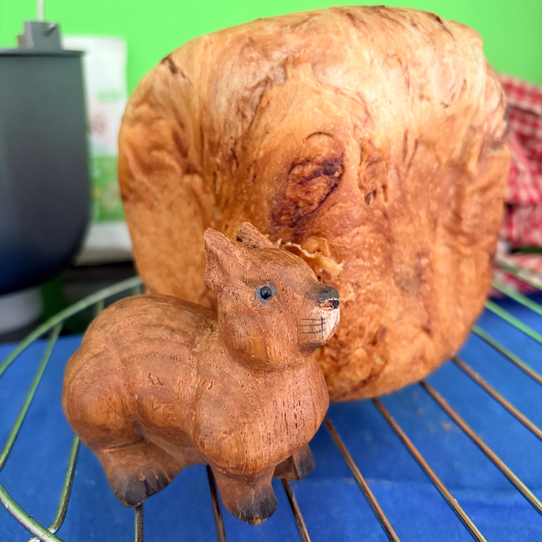 pan_brioche.jpg