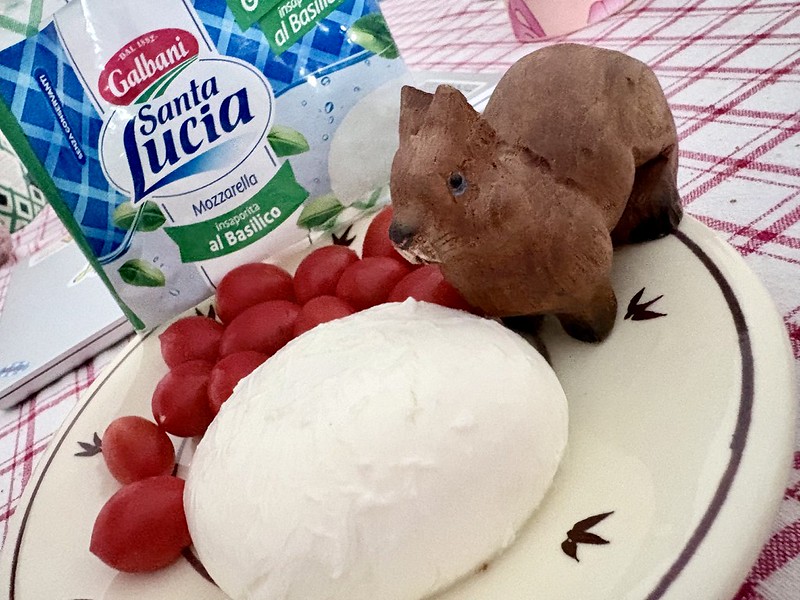 bruno_mozzarella_basilico.jpg